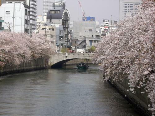 Albergue Tinys Yokohama Hinodecho
