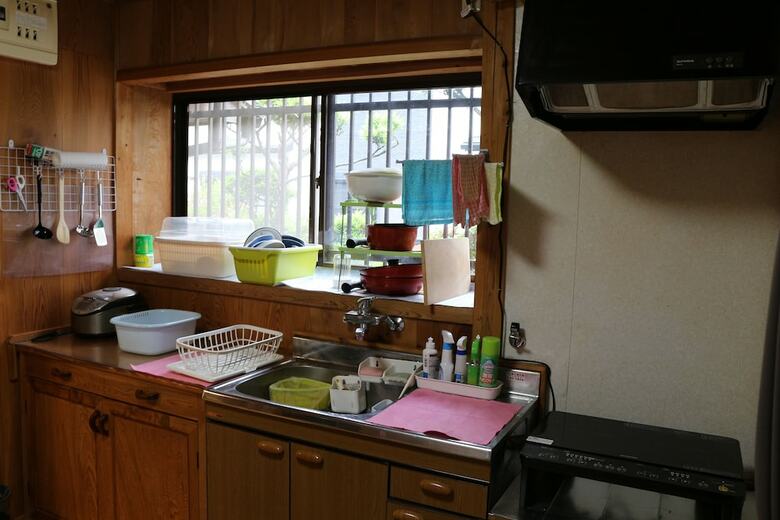 Lodge Yakusugi House