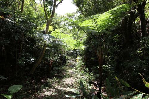 Agroturismo Cottage Tingara