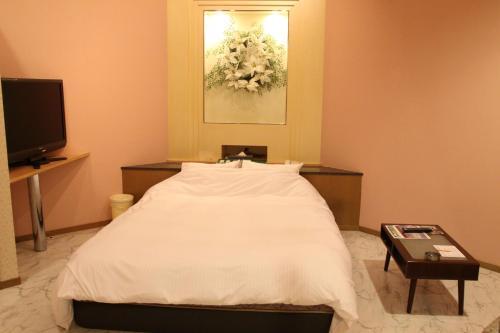 Color Hotel (love Hotel)