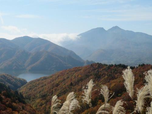 Hostal Pension Hana Kirin