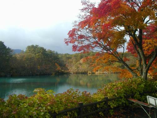 Hostal Pension Hana Kirin