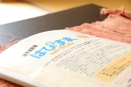 Hostal Tanegashima Minshuku Hapisuma