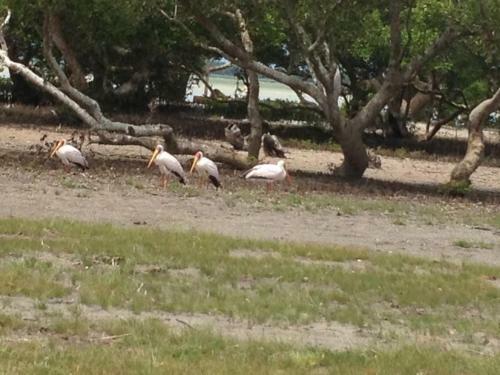 Lodge Eagle Camp Mida Creek