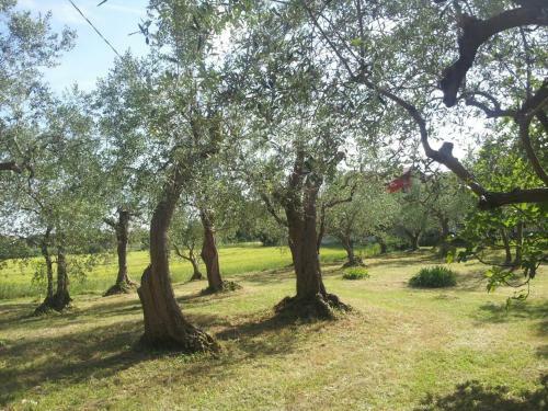 B&B Parco Degli Ulivi