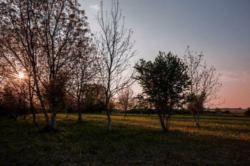 Albergue Cascina La Goliarda