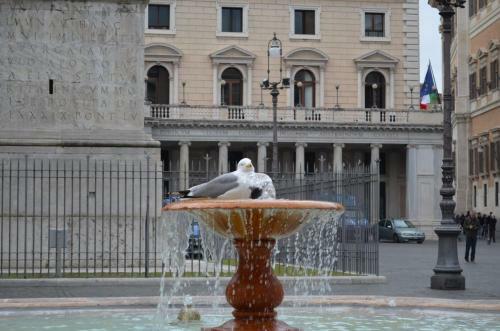 La Fontana Dei Sogni