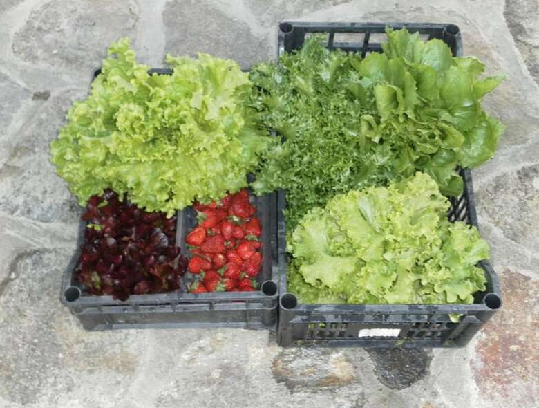 Agroturismo Agriturismo Da Ysy
