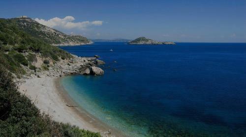 Villa Argentario Holiday House