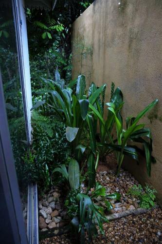 Villa The Jungle Loft Galle