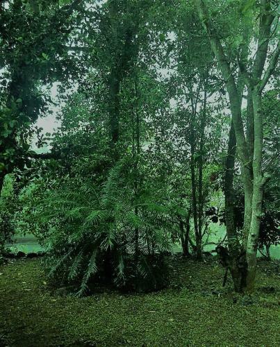 Hill House Galle Holiday Home