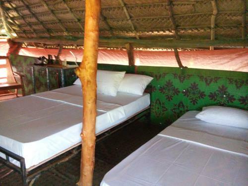 Jungle House