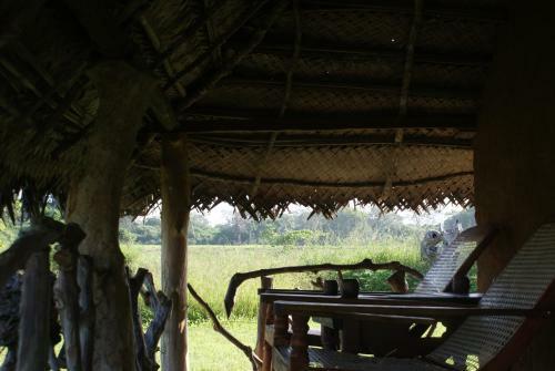 Jungle House