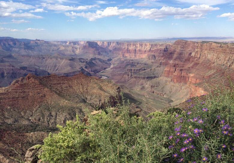 Hotel Canyon Plaza Resort