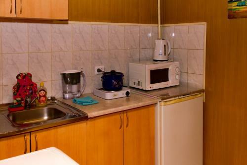 Svetlana Park Haus Apartment