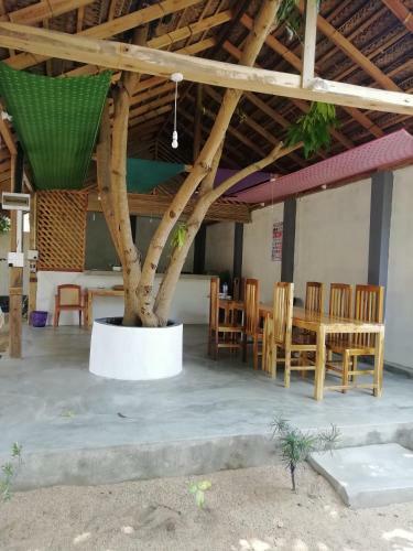Hotel Sea Shells Inn Arugambay