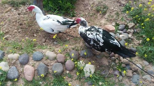Agroturismo Tigmmi Bahamou