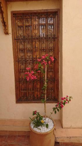 Hotel Riad Jasmins & Spa