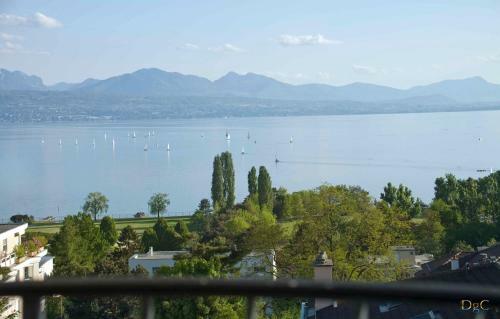 Hotel H�tel Bellerive