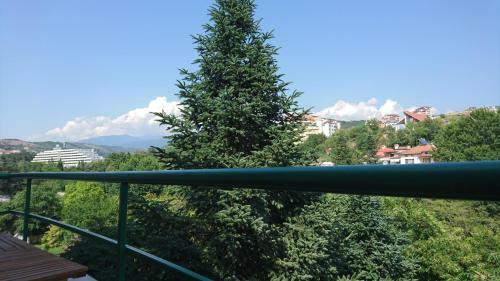 Park Apartments & Rooms Popovi