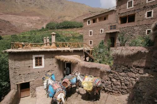 Hostal Douar Samra