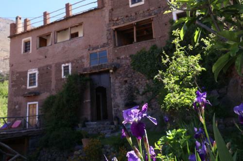 Hostal Douar Samra