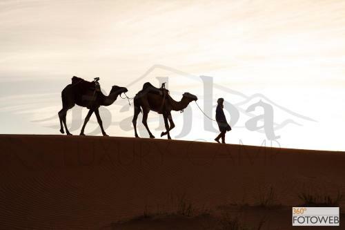 Hotel Bahba Luxury Camp