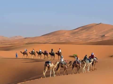 Merzouga & Camel Trekking Camp