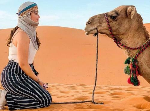 Berber Nomad Camp
