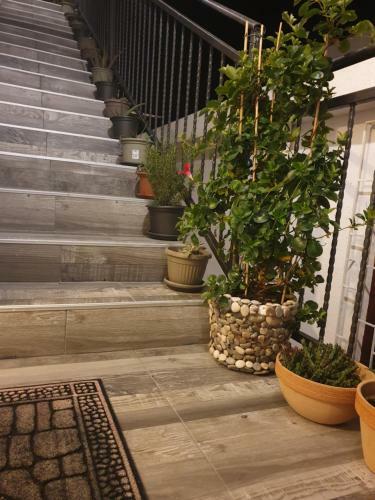 Hostal Apartmani Desan?i?