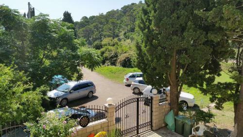 Apartments Beba Zalad