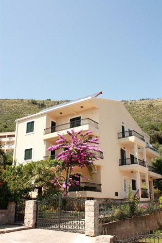 Hostal Apartments & Rooms M