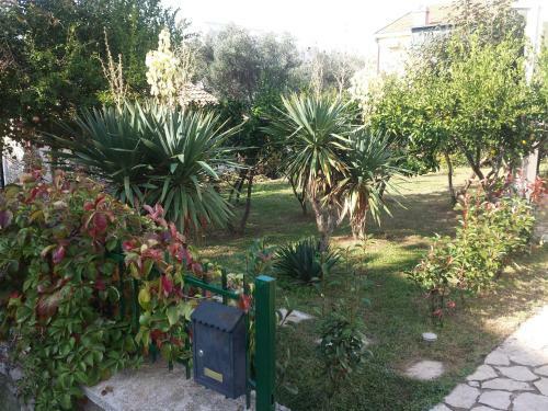 Apartamento Guest House Djonovic