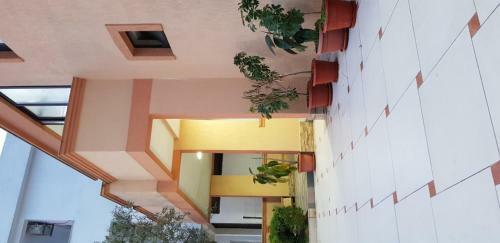 Adriatic Apartments
