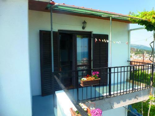 Apartment Djakonovic Mladen