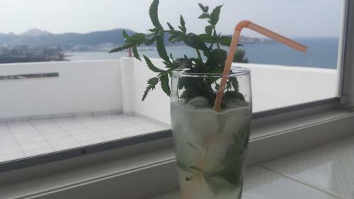 Apartamento Montenegrin Beauty Star