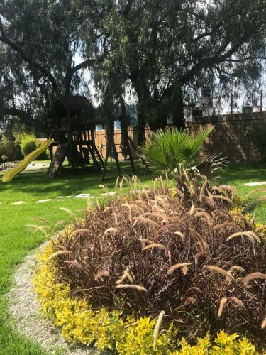 Hotel Quinta Huizache
