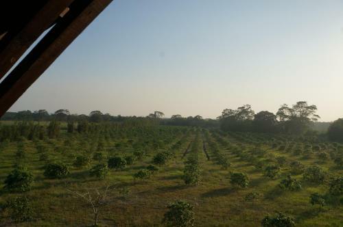 Hotel Finca Garullo
