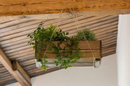 Apartamento Appartement Pleinzicht