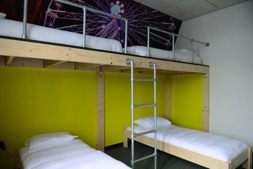 Hostel Roots