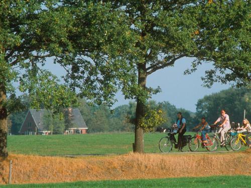 Holiday Home Het Wieskamp.1