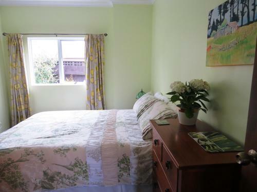 Bed & Breakfast Silvereye Retreat