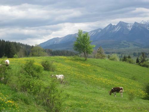 Apartamenty I Pokoje Rodzinne