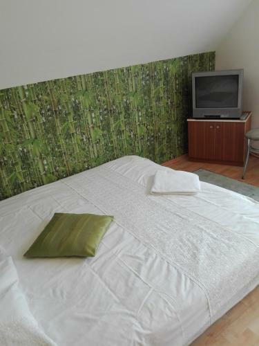 Hostel Madeira