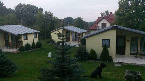 Lodge Domki Letniskowe W Wapnicy