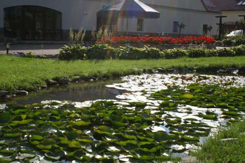 Agroturismo Aronia Park