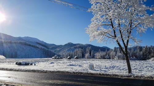 Apartamenty Bia?y Potok Zakopane