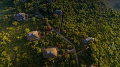 Lodge Manyara Wildlife Safari Camp