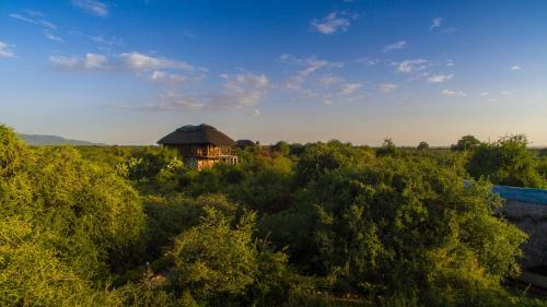 Lodge Manyara Wildlife Safari Camp