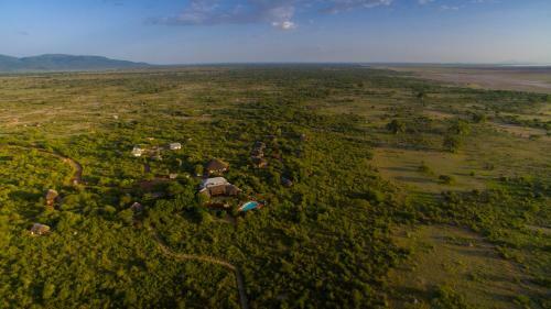Lodge Manyara Wildlife Safari Camp